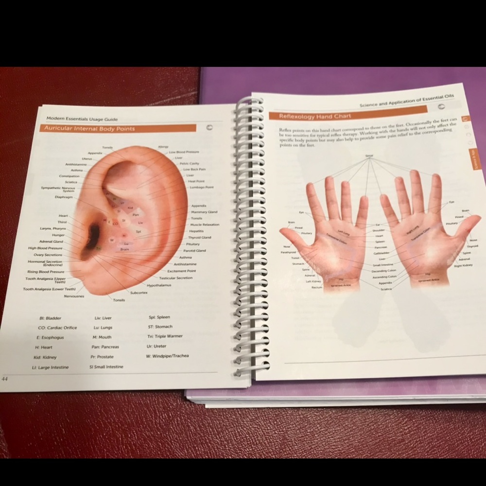 NEW ๐ Modern Essentials Usage Guide 7th Ed. - Picture 5 of 16